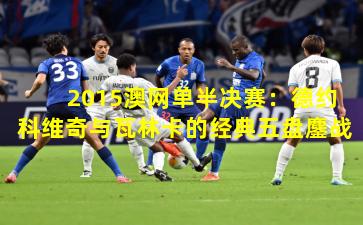 2015澳网单半决赛：德约科维奇与瓦林卡的经典五盘鏖战